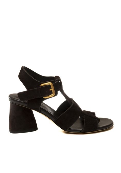  MARA BINI | 564CAM-T.MORO